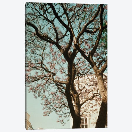 Analog Series - The Tree In The City Canvas Print #HGT329} by Sebastian Hilgetag Art Print