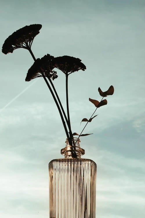 Flowers In The Bottle by Sebastian Hilgetag wall art