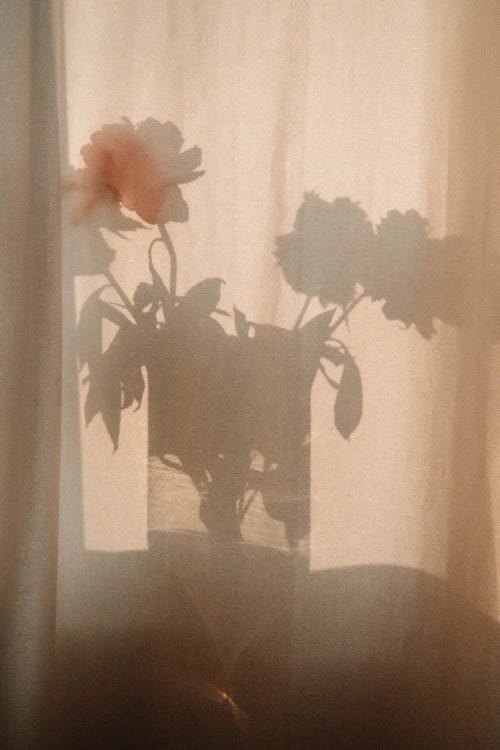 Flower Shadow I by Sebastian Hilgetag wall art