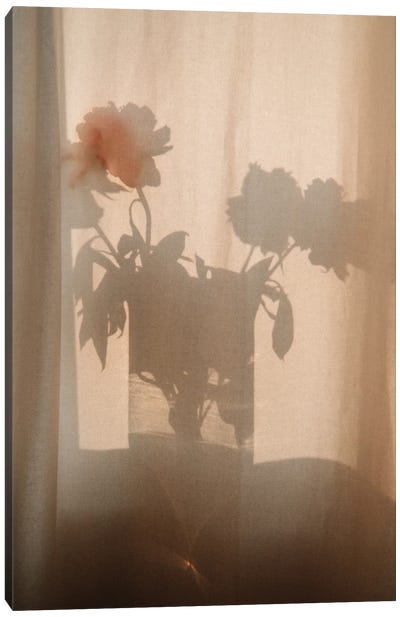 Flower Shadow I Canvas Art Print - Pantone 2024 Peach Fuzz