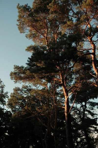 Lights And Shadows by Sebastian Hilgetag multi panel art