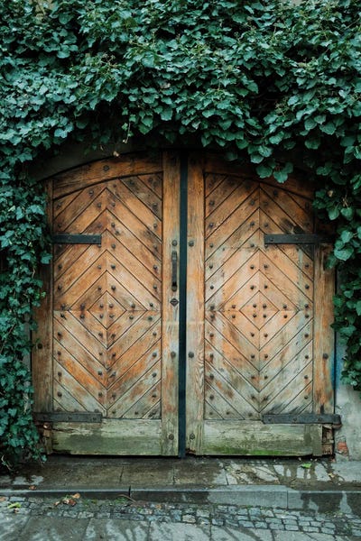 Sebastian Hilgetag: The Door by Sebastian Hilgetag