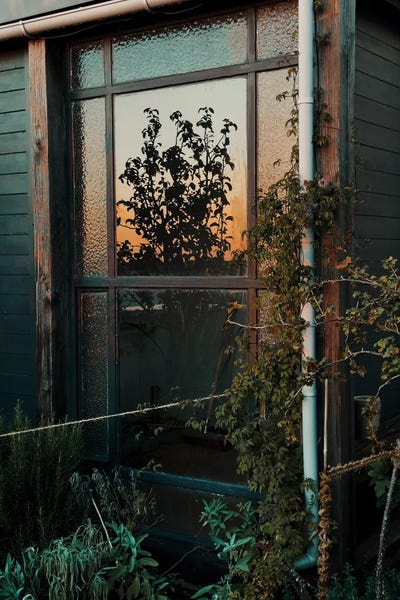 Sebastian Hilgetag: The Secret Garden by Sebastian Hilgetag