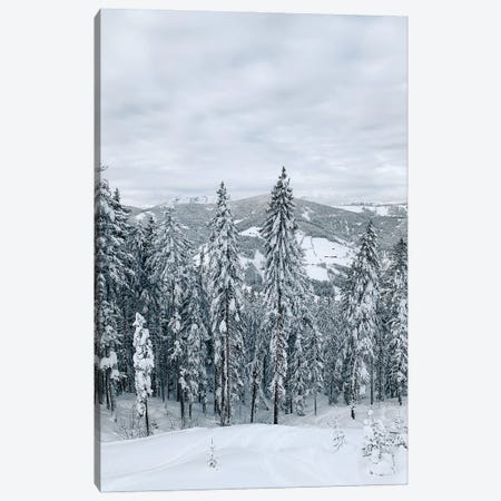 Forest In The Alps Canvas Print #HGT37} by Sebastian Hilgetag Canvas Art Print