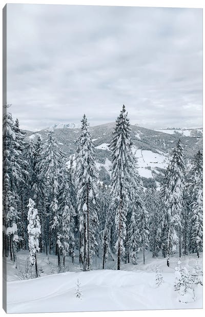 Forest In The Alps Canvas Art Print - Snow Art
