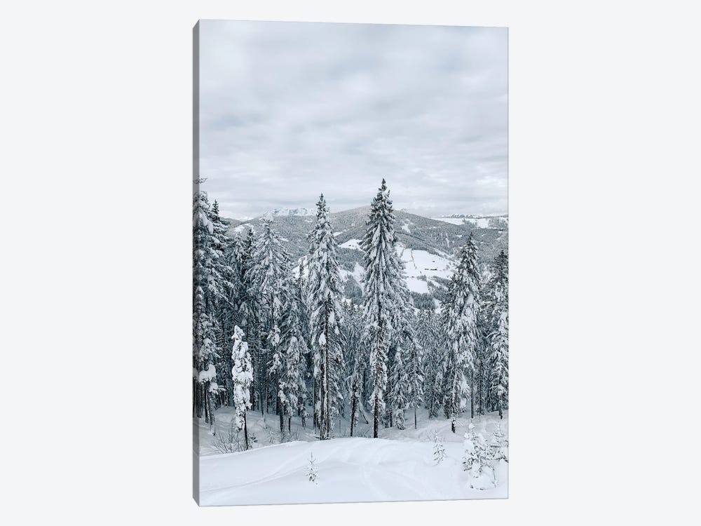 Forest In The Alps by Sebastian Hilgetag 1-piece Canvas Art