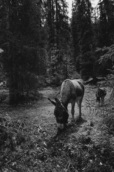 Sebastian Hilgetag: Friends by Sebastian Hilgetag