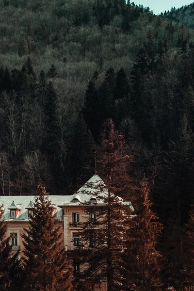 Idyllic House In The Woods II by Sebastian Hilgetag framed wall art