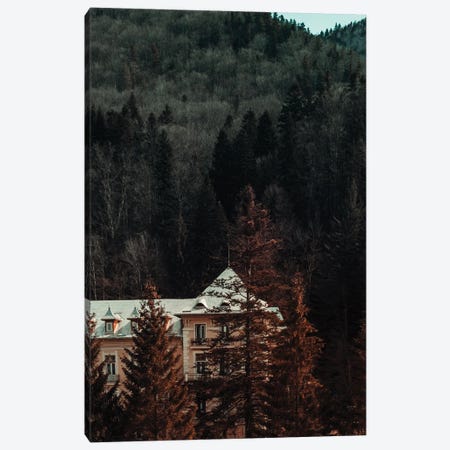 Idyllic House In The Woods II Canvas Print #HGT47} by Sebastian Hilgetag Canvas Art