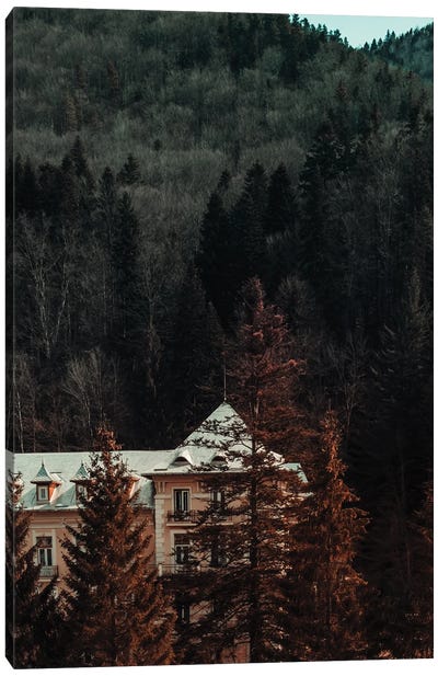 Idyllic House In The Woods II Canvas Art Print - Sebastian Hilgetag