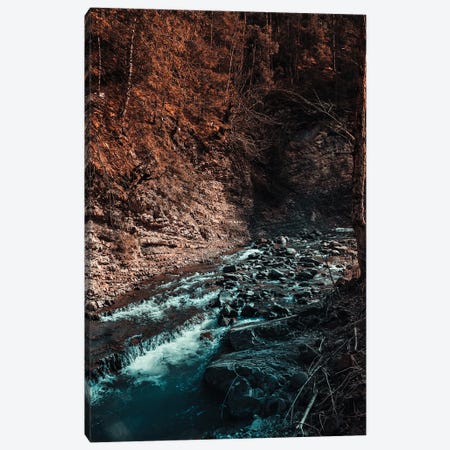Idyllic River Through The Woods III Canvas Print #HGT48} by Sebastian Hilgetag Canvas Art Print