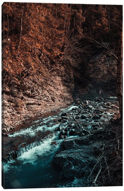Idyllic River Through The Woods III Canvas Art Print - Sebastian Hilgetag