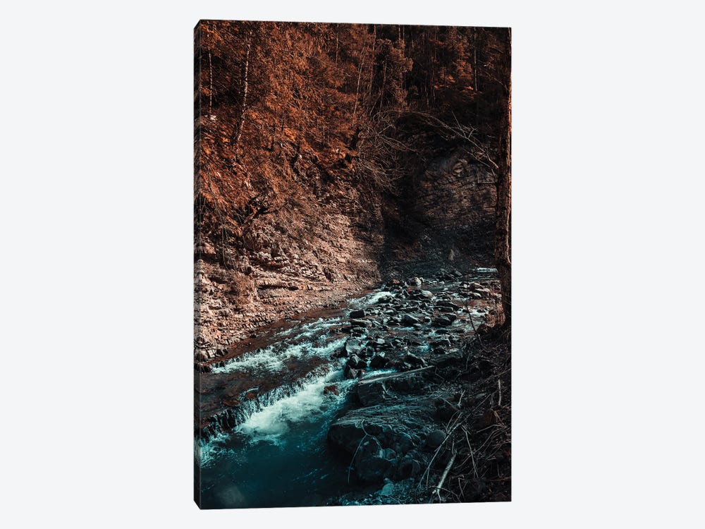 Idyllic River Through The Woods III by Sebastian Hilgetag 1-piece Canvas Art