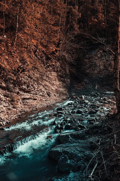 Sebastian Hilgetag: Idyllic River Through The Woods III by Sebastian Hilgetag