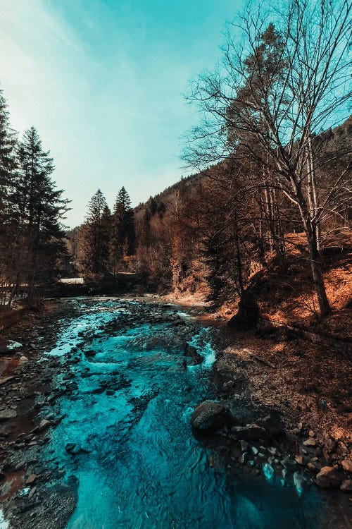 Idyllic River Through The Woods