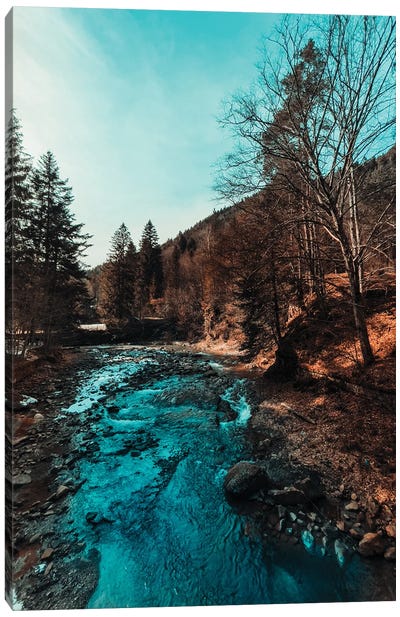 Idyllic River Through The Woods Canvas Art Print - Sebastian Hilgetag