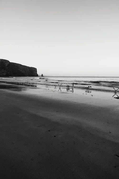 Morning Birds