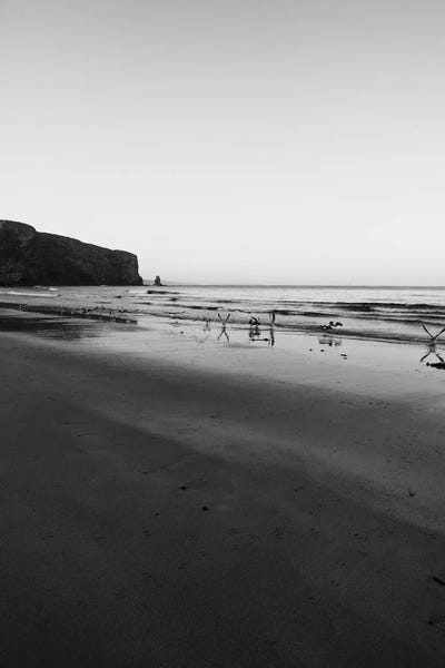 Sebastian Hilgetag: Morning Birds by Sebastian Hilgetag