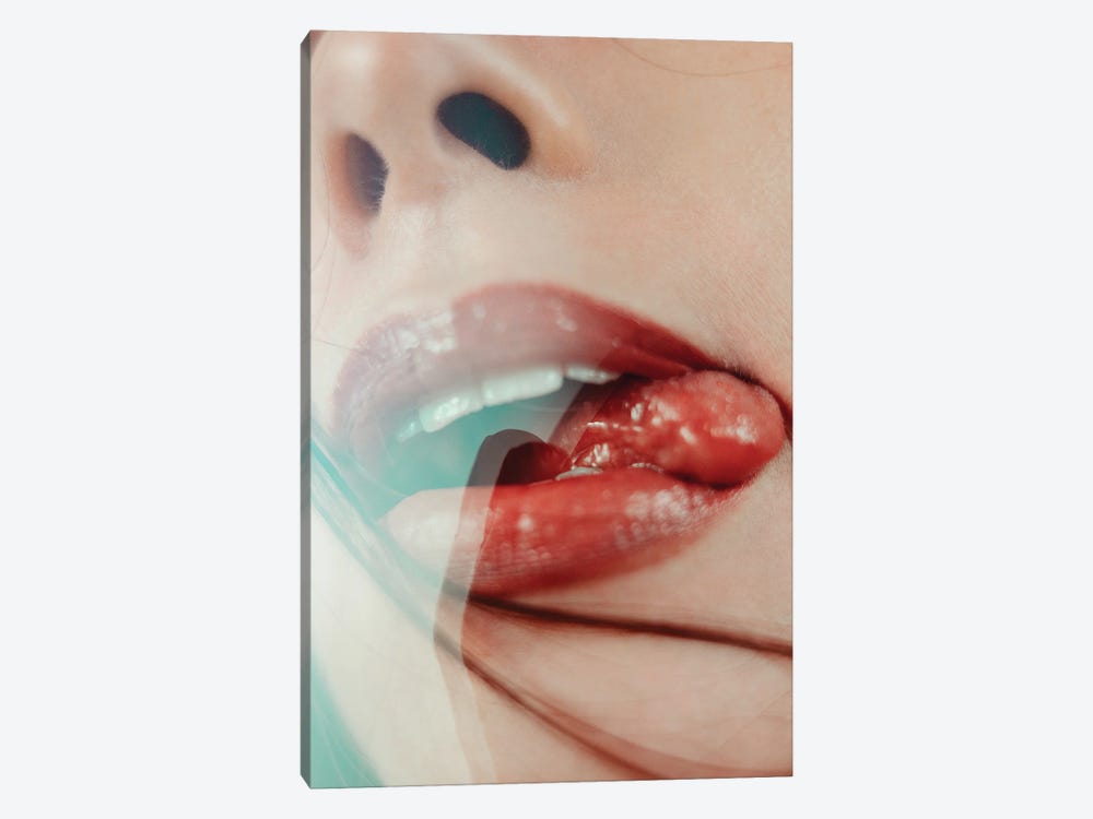 Mouth I by Sebastian Hilgetag 1-piece Canvas Art