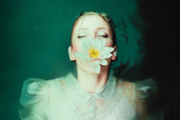 Water Lilies: New Ways III by Sebastian Hilgetag