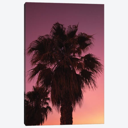 Palms At Sundown Canvas Print #HGT74} by Sebastian Hilgetag Canvas Print