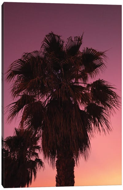 Palms At Sundown Canvas Art Print - Sebastian Hilgetag