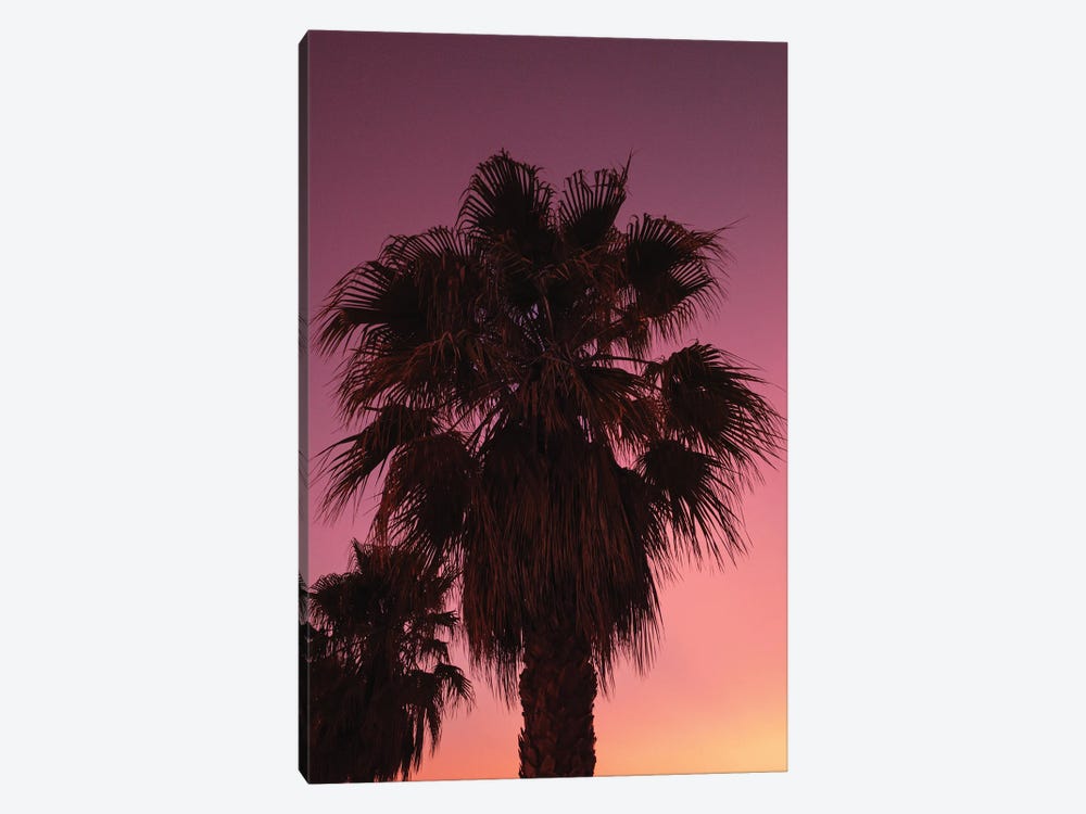 Palms At Sundown by Sebastian Hilgetag 1-piece Art Print