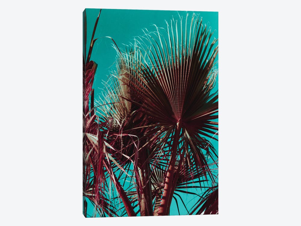 Palms V by Sebastian Hilgetag 1-piece Canvas Art Print