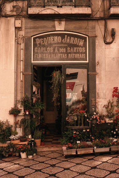 Pequeno Jardim by Sebastian Hilgetag canvas print