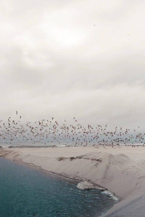 Portugal Beach