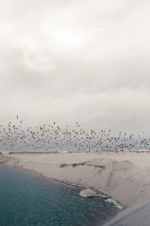 Portugal Beach by Sebastian Hilgetag wall art