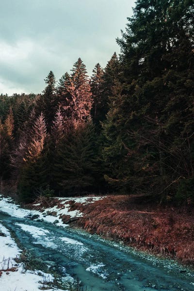 River By The Forest by Sebastian Hilgetag canvas print