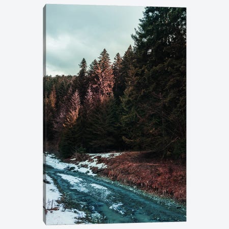River By The Forest Canvas Print #HGT86} by Sebastian Hilgetag Canvas Artwork