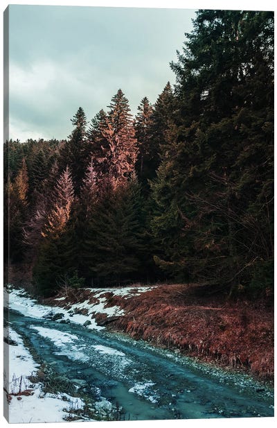 River By The Forest Canvas Art Print - Sebastian Hilgetag