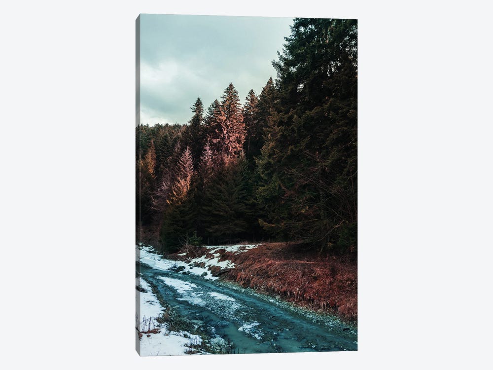 River By The Forest by Sebastian Hilgetag 1-piece Canvas Wall Art