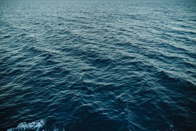 Sea II by Sebastian Hilgetag canvas print