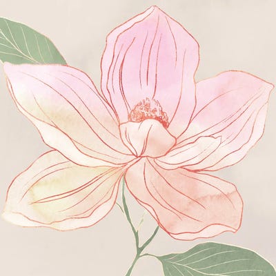 Delicate Blossom In Soft Hues II