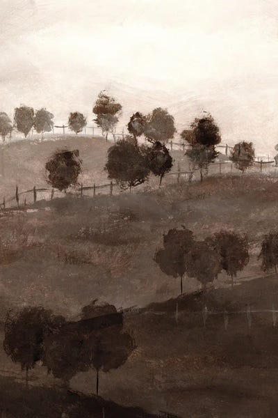 Misty Hills Under Dark Trees II