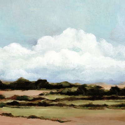 Tranquil Fields Under Vast Sky