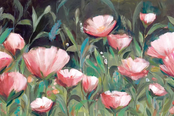 Hannah Dawson: Evening Blossoms by Hannah Dawson