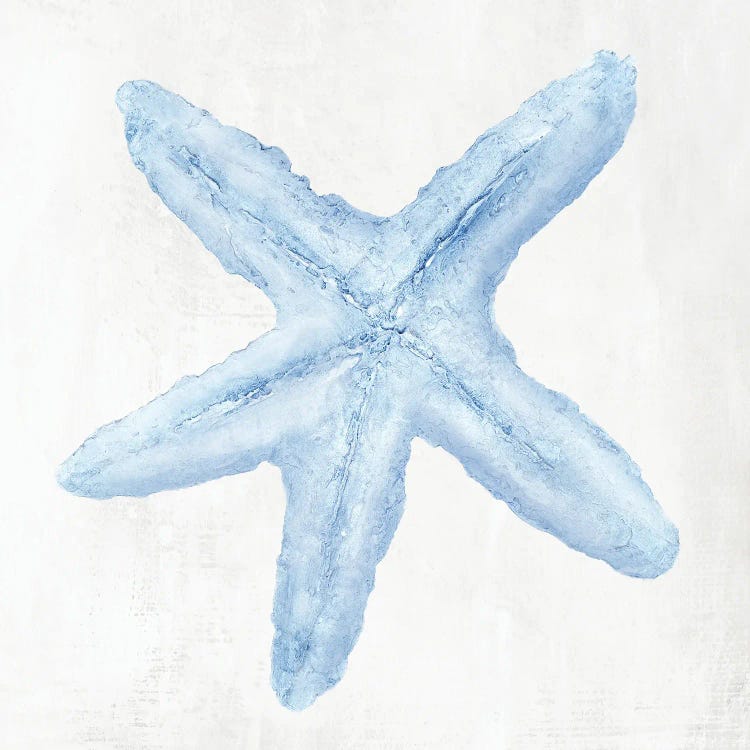 Light Blue Seashell I