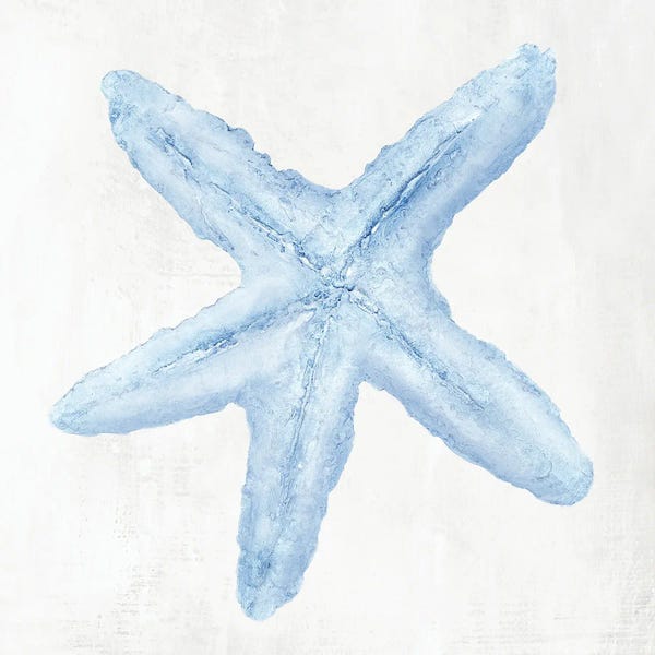 Large Minimalist Art - Canvas Prints: Light Blue Seashell I by Hannah Dawson