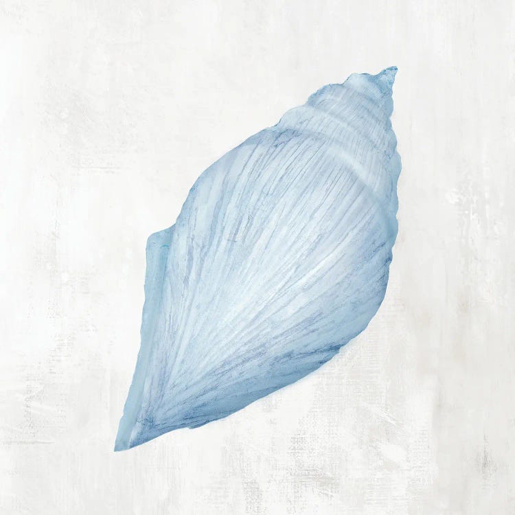 Light Blue Seashell II