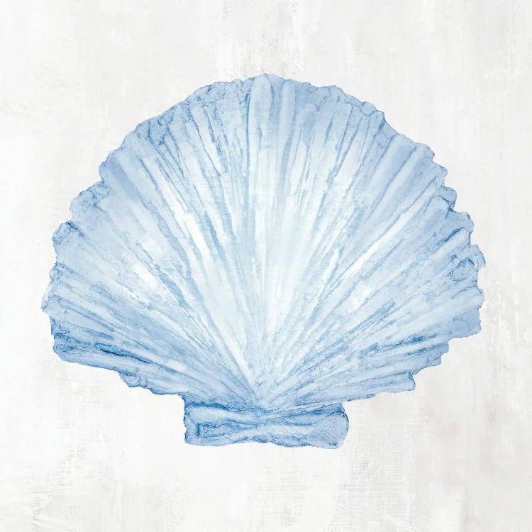 Light Blue Seashell III