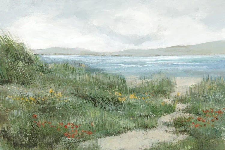 Seaside Meadow Under Cloudy Skies