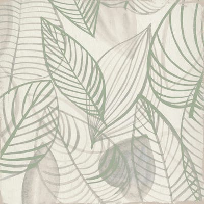 Silent Grand Canyon by Hannah Dawson gallery poster