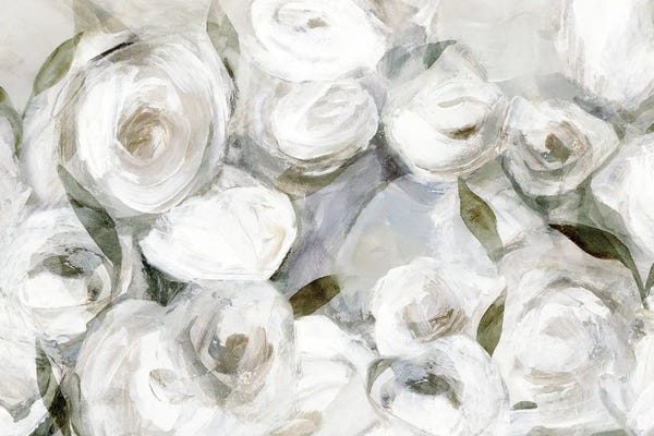 White Blooms In Gentle Light