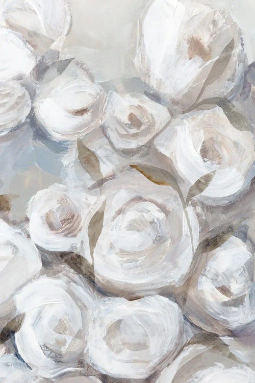 White Roses In Gentle Bloom I