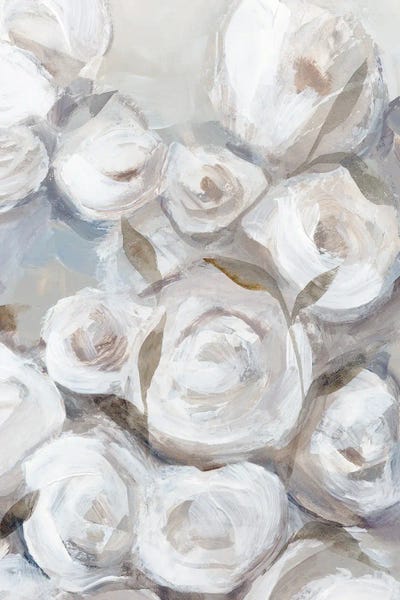 Fine Art Print: White Roses In Gentle Bloom I by Hannah Dawson