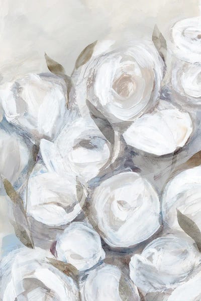 Fine Art Print: White Roses In Gentle Bloom II by Hannah Dawson